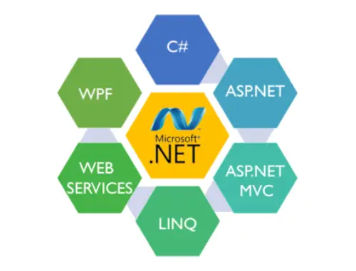 vetri academy dot net