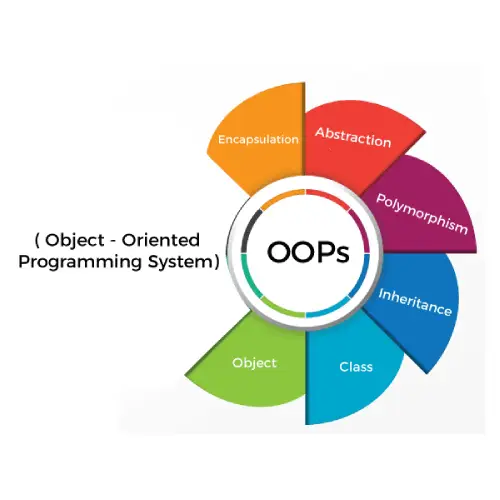 vetri academy oops 01